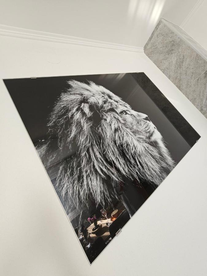Apartmani Dado Čavle Esterno foto